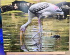 Decorative 11x14 inch painted stork wall art by Republic Mercantile, ready to hang for home or office decor.