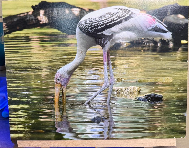 Decorative 11x14 inch painted stork wall art by Republic Mercantile, ready to hang for home or office decor.