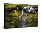 Painted stork wall art in 11x14 inch size, ready to hang, by Republic Mercantile, featuring colorful bird illustration for home decor