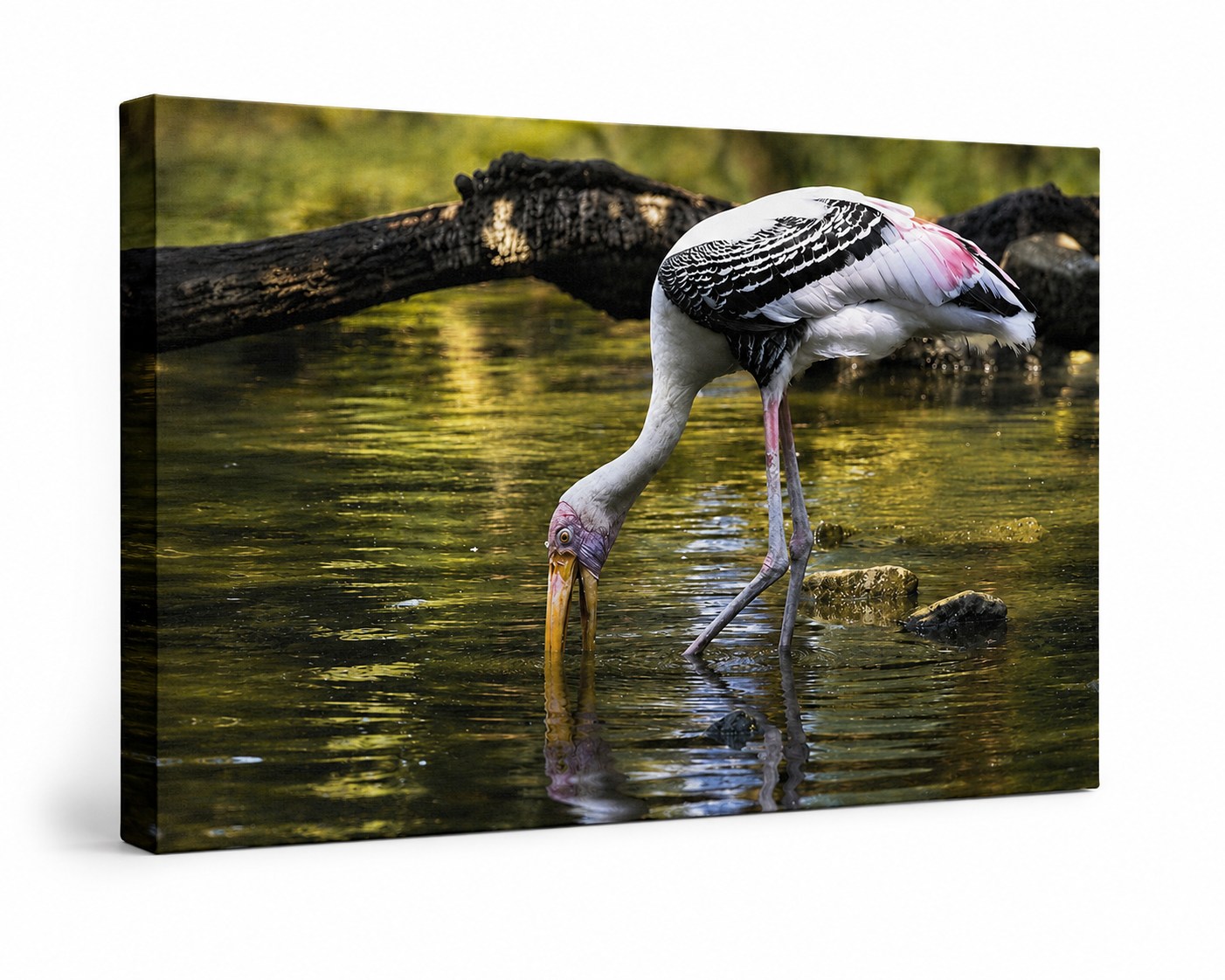 Painted stork wall art in 11x14 inch size, ready to hang, by Republic Mercantile, featuring colorful bird illustration for home decor