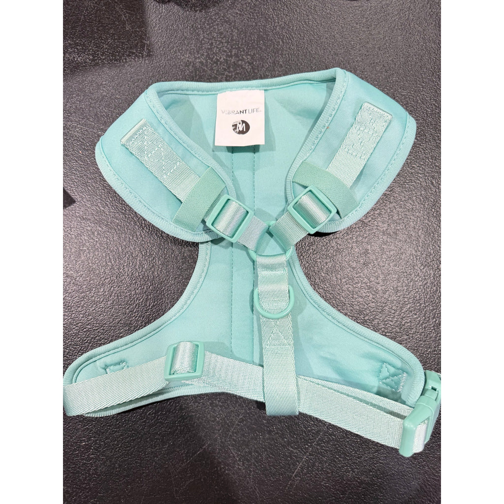 Vibrant Life green dog harness in size medium with adjustable straps and padded chest area for comfortable walking.