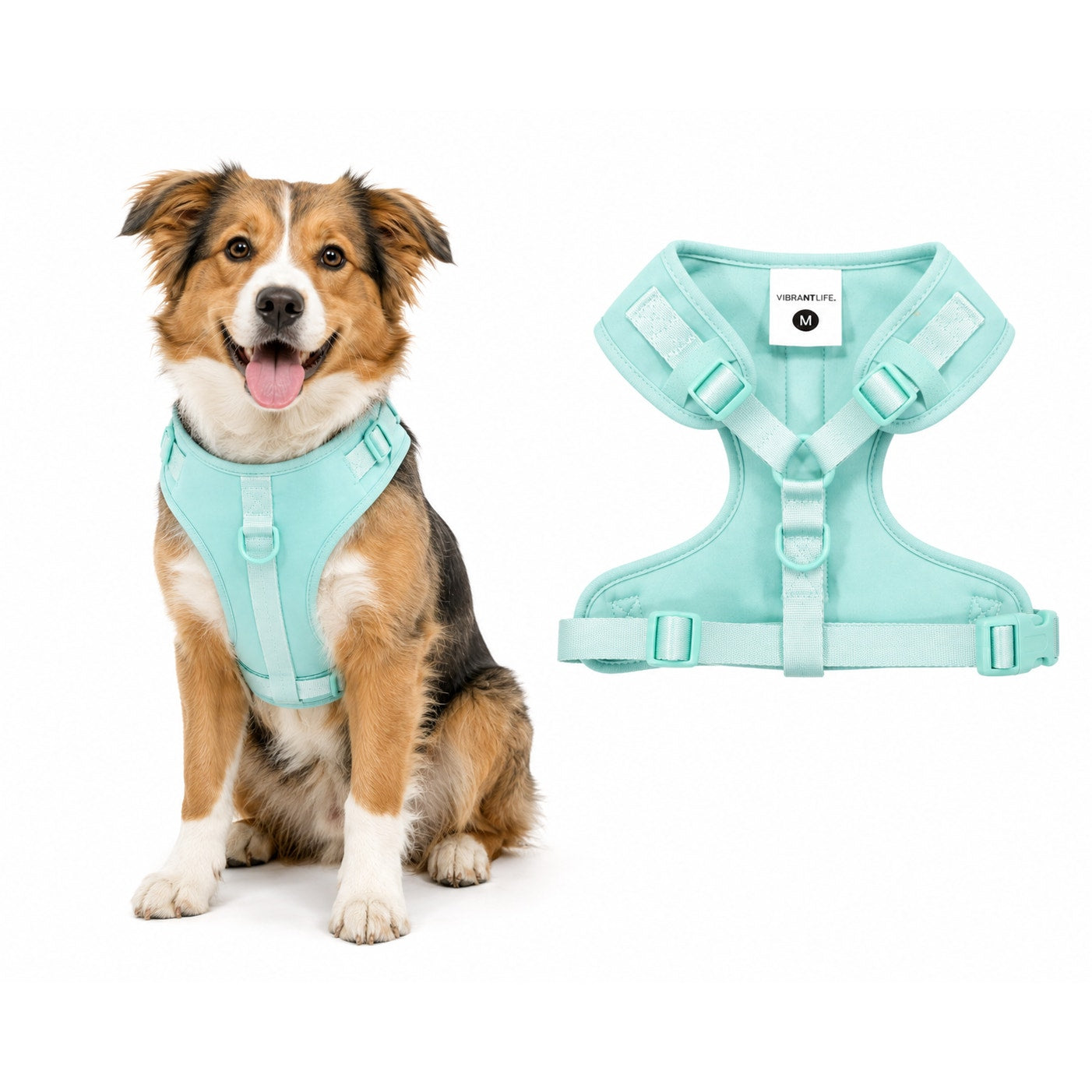 Vibrant Life green dog harness in size medium, adjustable strap and padded design for comfortable pet walking.