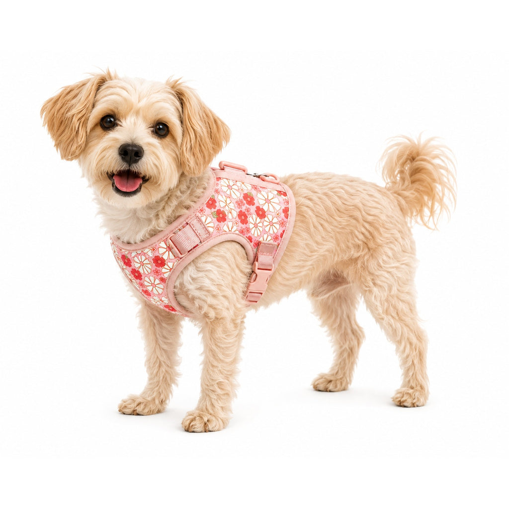NEW Vibrant Life Tiny Dog Harness, Size: S