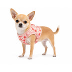 NEW Vibrant Life Tiny Dog Harness, Size: XS