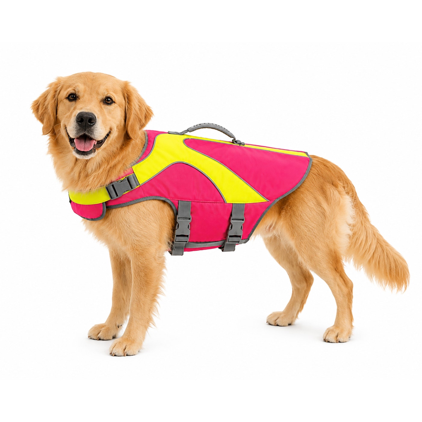 Youly Dog Flotation Vest Size: L