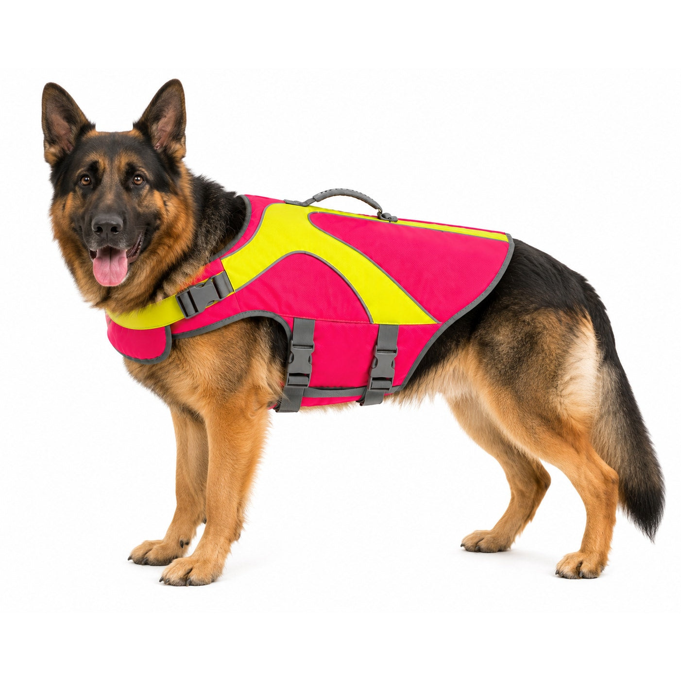 Youly Dog Flotation Vest Size: XL