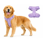 Vibrant Life purple dog harness in size large, adjustable with padded straps for comfort and security during walks.